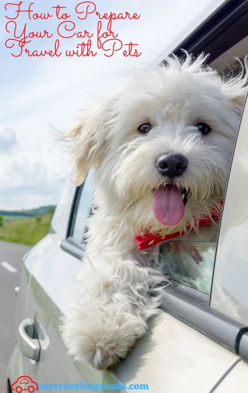How To Prepare Your Car for Travel With Pets 
