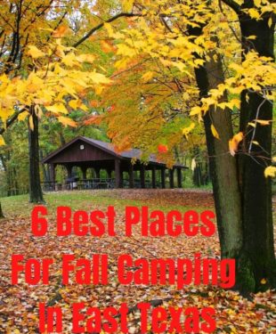 6 Best Places For Fall Camping In East Texas