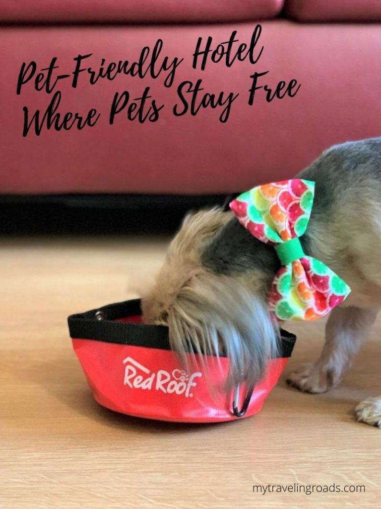 PetFriendly Hotel Where Pets Stay Free My Traveling Roads