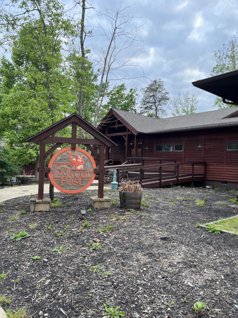 Thrilling Activities At Adventures - Adventure On The Gorge Lookout Post 768x1024 