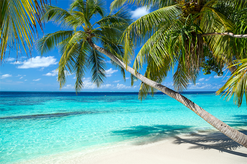 Best time to travel to the Caribbean