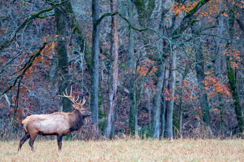 Top Fall Destination For Leaf Peeping