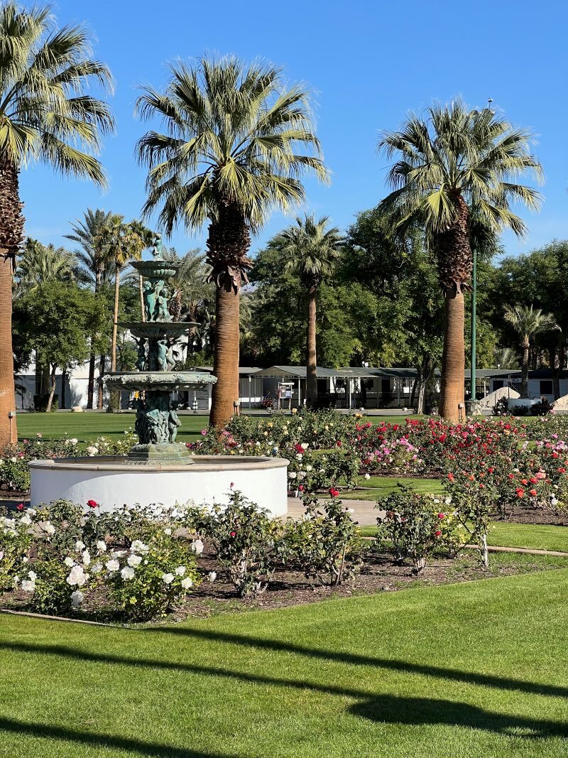 explore palm springs, california